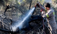 Европа намалява броя на огнеборците въпреки щетите от пожарите 