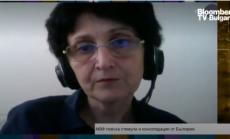 Икономист: В последния доклад на МВФ може да се чете препоръка за увеличаване на данъците у нас 