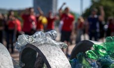 Морските костенурки не са единствените жертви на пластмасата