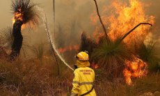 Какво премълчава Exxon за разходите, свързани с климата