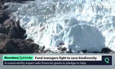 Биоразнообразието във фокуса на мениджърите на фондове, част 1