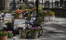 България отговаря на три от критериите за присъединяване към еврозоната