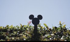 Disney ще закупи оставащия дял в Hulu за поне 8,61 милиарда долара