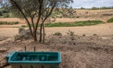 Къде е водата? Сушата, задънените улици и "зъбът на акулата" в Испания