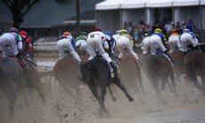 Еднорозите властваха едно десетилетие. Сега секторът се нуждае от нов звяр