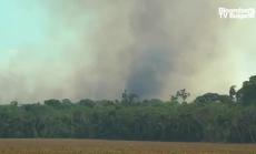 Екологична справедливост в Бразилия