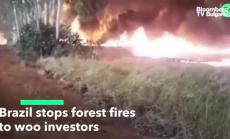 Болсонаро забрани палене на огън в Амазония