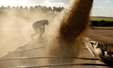 Индексът на цените на суровините бележи най-големия двудневен спад от 2011 г. насам