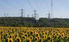 Малките бизнеси не са готови, а много не са и чували за нефинансова отчетност