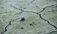 Румъния и Турция вече предупреждават за трусове, у нас подобна система липсва