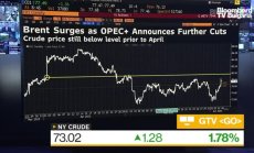 Vanda: ОПЕК няма готовност за съкращение до догодина