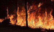 Земята е напът да се затопли с над 2C въпреки климатичните действия