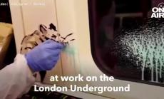 Covid-19 предупреждението на художника Банкси