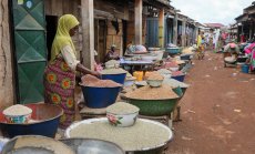 Гана спира износа на ориз, царевица и соя, за да избегне недостиг на местно ниво