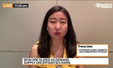 Накъде тръгват цените на желязо и мед