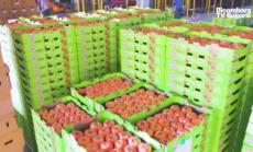 Технологиите направиха революция в земеделието