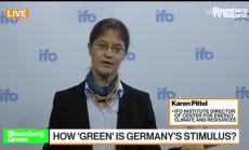 Зелени ли са германските стимули, част 1