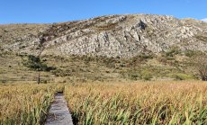 Wet zones for millions