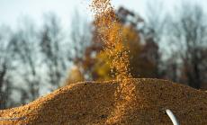 Какво да очакваме от търговията със земеделските стоки през 2021 г.?