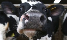 Войната на Путин се оказа по-полезна от добрите намерения за емисиите на метан