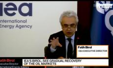 Бирол очаква плавно възстановяване на петрола, част 1