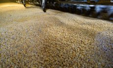 Турция и Русия предлагат безопасен маршрут за износа на зърно, но Украйна е скептична