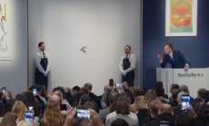 Как се застрахова банан, продаден за $6,2 мил. долара, който ще изгние до дни?