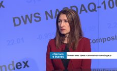 Работещи решения за проблемите на границата ни с Румъния има, но не се предприемат