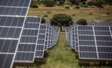 Репутацията на компаниите е тясно свързана с изпълнението на ESG