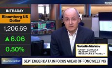 Маринов очаква доларът да започне възстановяване в края на годината