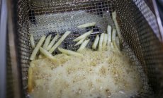 Планирате да карате колата си само на олио? Ще има да чакате