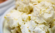 Мегафабрики за прецизна ферментация са бъдещето на млечните продукти