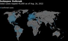 Mаймунската шарка се превърна в глобална зараза само за четири месеца