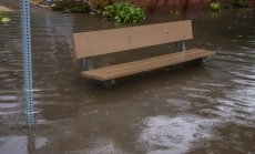 Технологичните гиганти помагат на петролните магнати да се отрича климатичната криза