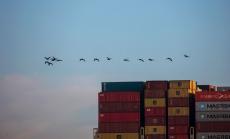 Кризата с контейнерите хвърля в смут търговията с храни