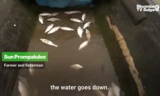 Къде е водата на река Меконг: част 2