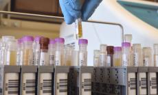 2537 са новите случаи на коронавирус за последното денонощие