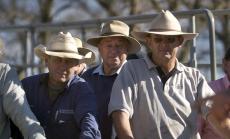 България е между Австралия и Аржентина по бизнес среда