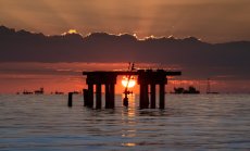 Всички от ОПЕК+ са доволни от цената, няма да има промяна в добива на петрол