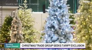 Изкуствените елхи срещат истински проблеми 