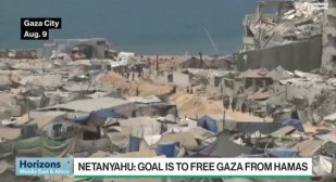 Ниам Макбърни: Израел не може да разгроми Хамас в момента