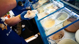 Производителите на сладолед обещаха голяма промяна