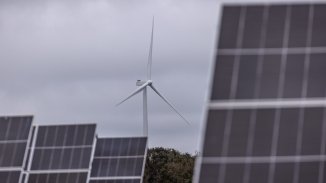 Европа между Зелената сделка и здравия разум