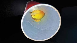 Кралят на чипа се изправя срещу кризата