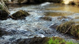 Богатството на минерални води в България