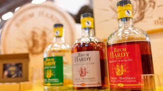 Covid не спря продажбите на алкохол