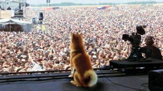 Доджкойн поколението 