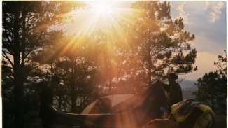 Да отлетиш към дивото