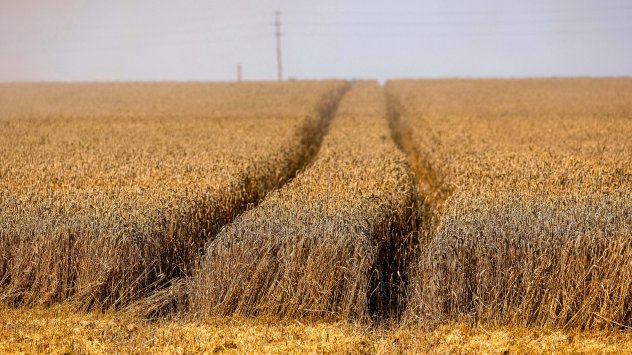 Снимка: Bloomberg