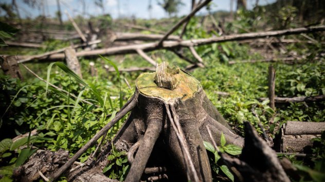 Снимка: Bloomberg L.P.